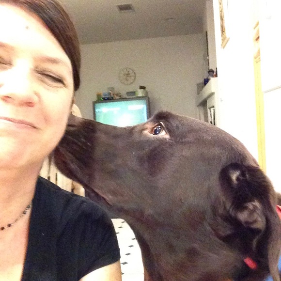 mychocolatelab